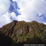 登山口渓谷