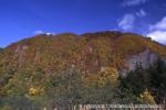 おぼこ荘裏山　他