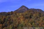 おぼこ荘裏山　他