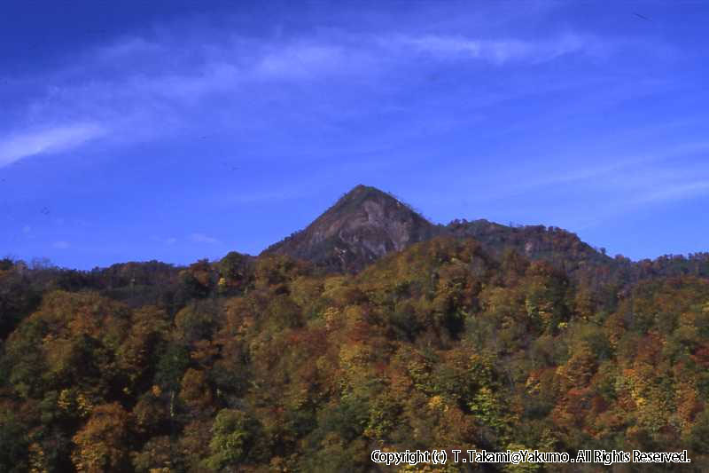 おぼこ荘裏山　他