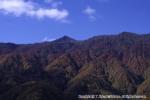 おぼこ荘裏山　他