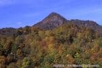 おぼこ荘裏山　他