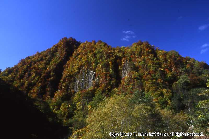 おぼこ岳