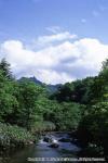 10　八雲・風景（夏）