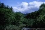 10　八雲・風景（夏）