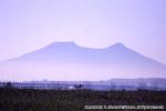 10　八雲・風景（夏）