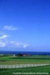 10　八雲・風景（夏）