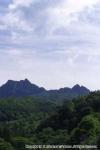 10　八雲・風景（夏）