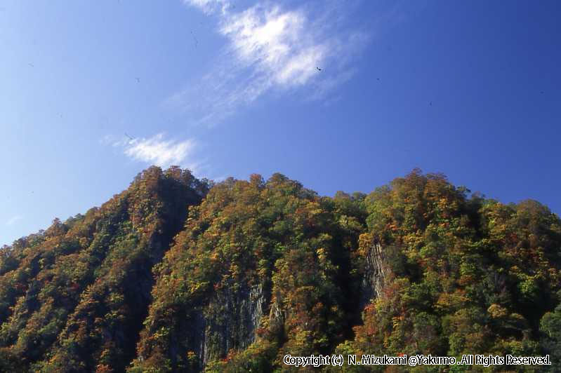 10　八雲・風景（秋）