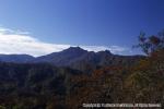 10　八雲・風景（秋）