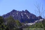 11　八雲・風景（春）