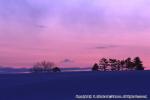 八雲・風景（冬）