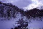 八雲・風景（冬）