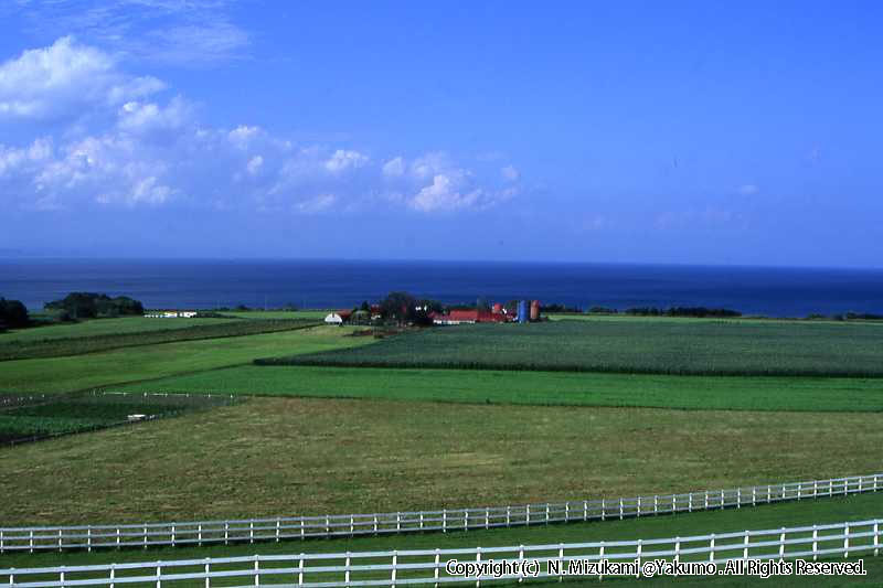 八雲・風景（冬）