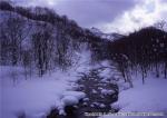 八雲・風景（冬）