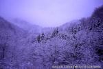 八雲・風景（冬）