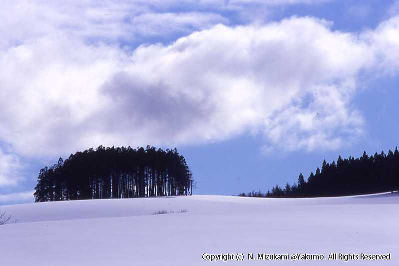 八雲・風景（冬）