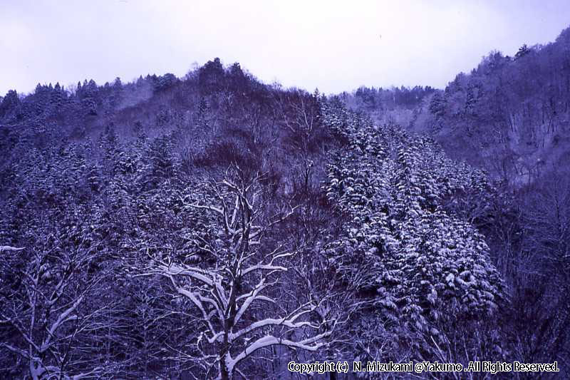 八雲・風景（冬）