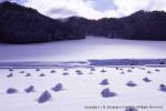 八雲・風景（冬）