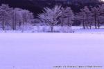 八雲・風景（冬）