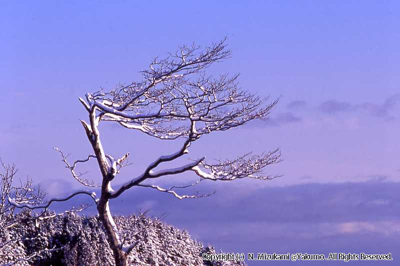 八雲・風景（冬）