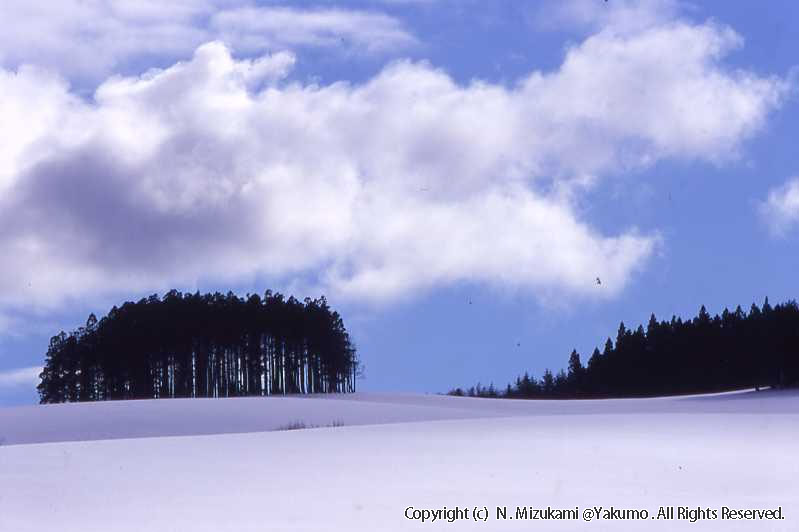 八雲・風景（冬）