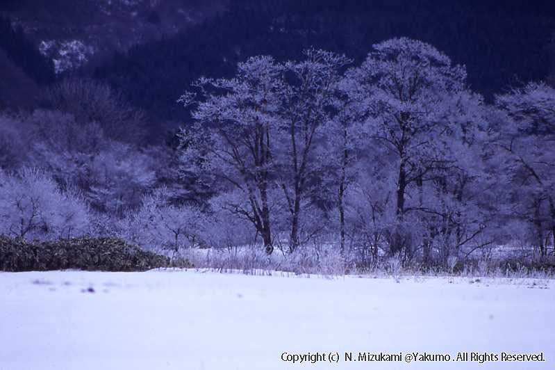 八雲・風景（冬）