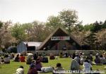 平成5年　さらんべ公園桜まつり