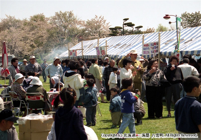 平成5年　さらんべ公園桜まつり