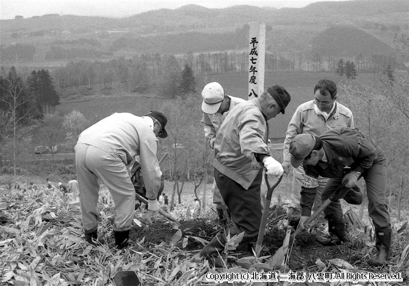 平成7年　八雲町植樹祭