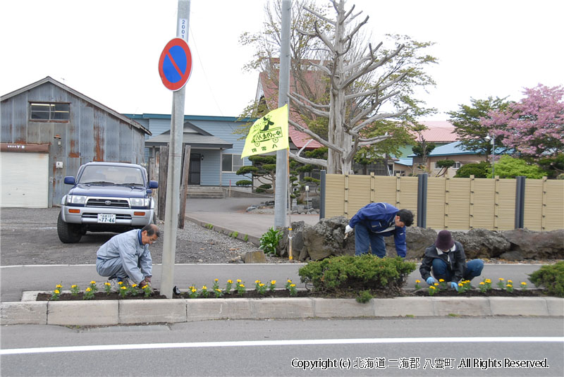 H22.05.24～27　元町１区花（ふれあいのまちボランティア）