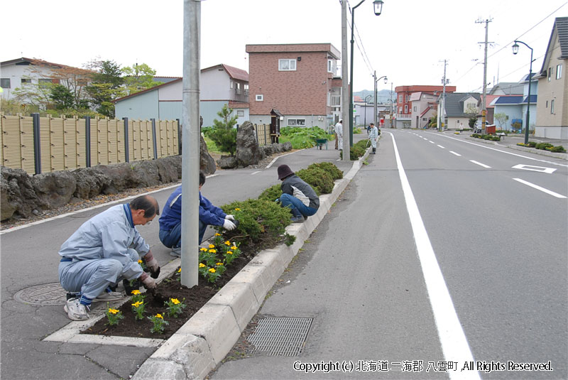 H22.05.24～27　元町１区花（ふれあいのまちボランティア）