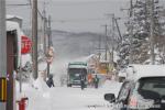 H23.01.13、14 大雪