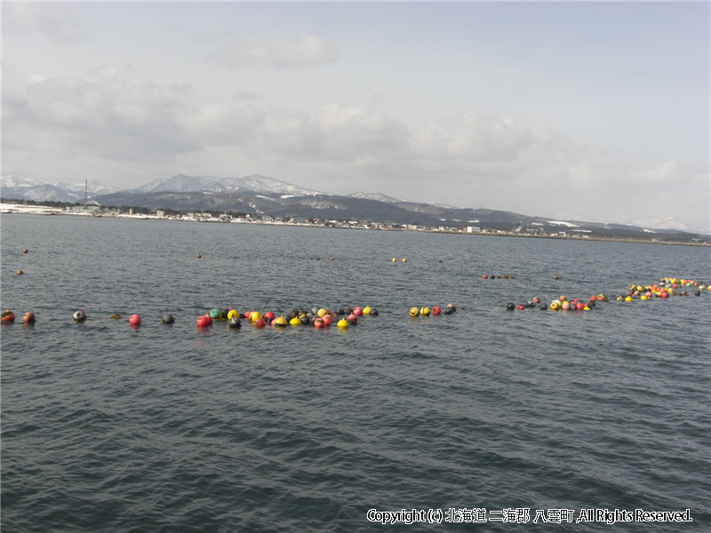 H23.03.14　東北沖地震津波被害（落部）