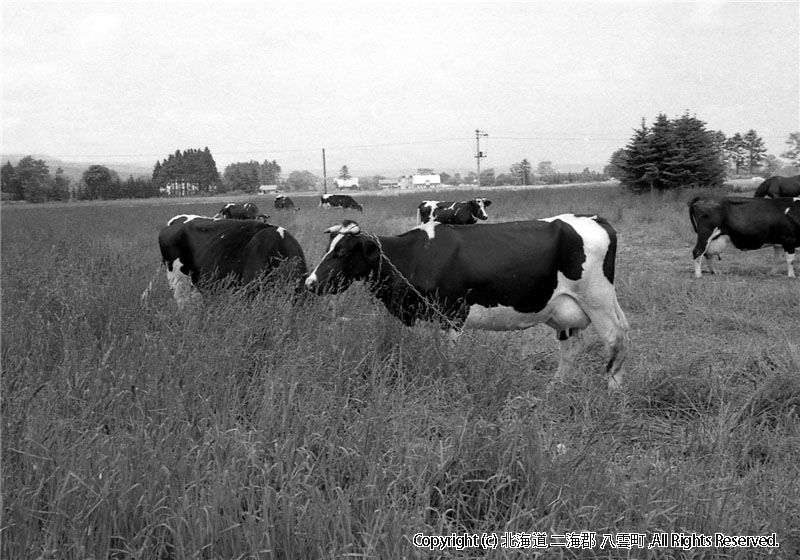 昭和39年　町勢要覧用