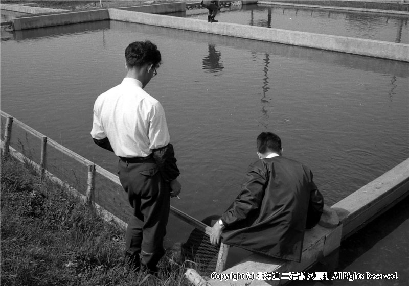 昭和39年　町勢要覧用