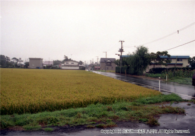 風景