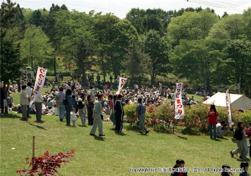 H10.05.31 落部公園つつじまつり