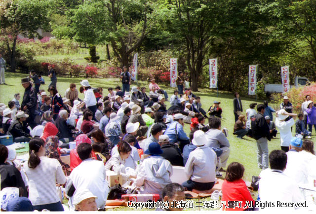 H13.06.03 落部公園つつじ祭