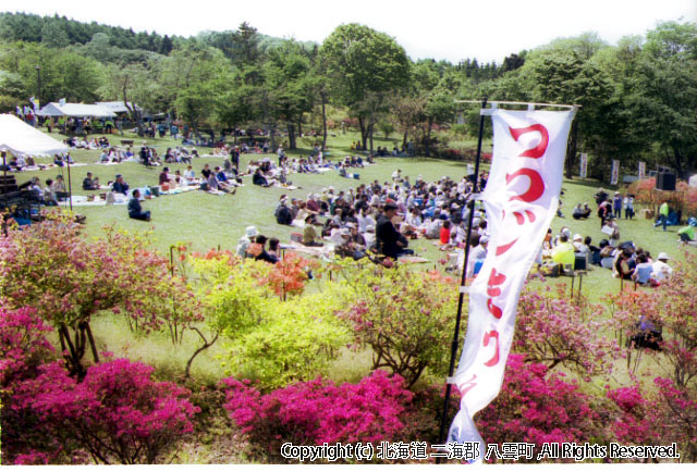 H13.06.03 落部公園つつじ祭
