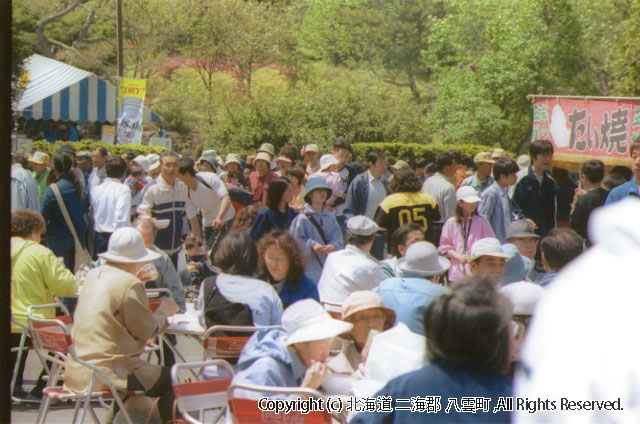H13.06.03 落部公園つつじ祭