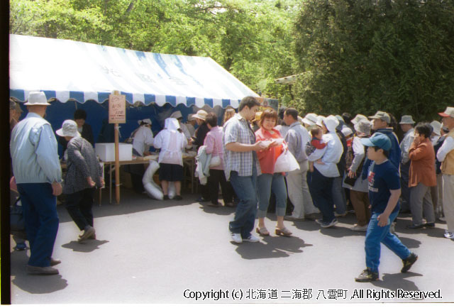 H13.06.03 落部公園つつじ祭