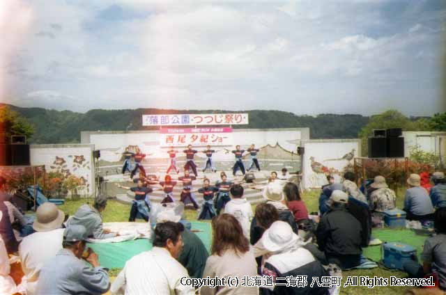 H13.06.03 落部公園つつじ祭