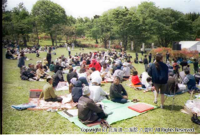 H13.06.03 落部公園つつじ祭