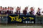 H13.08.12 よさこいソーラン