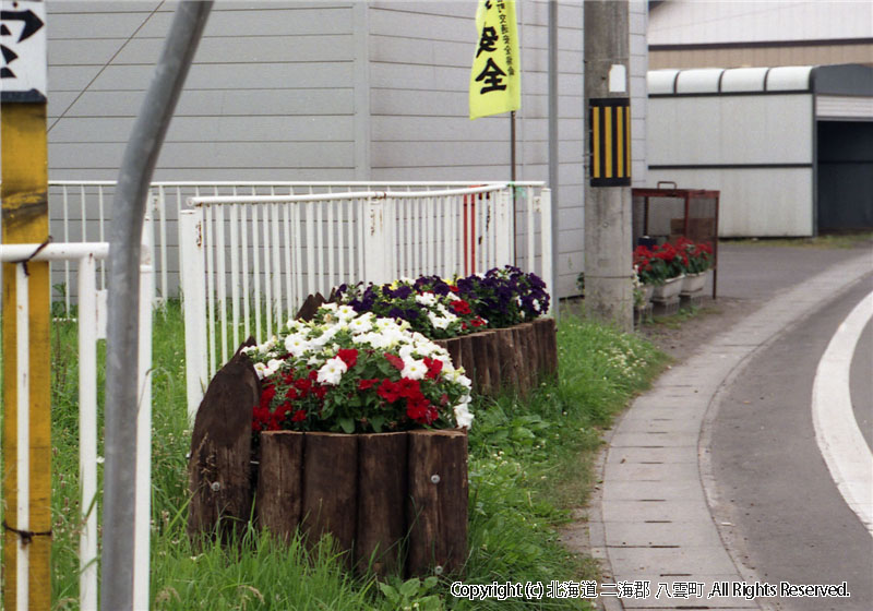 年不明　花関係