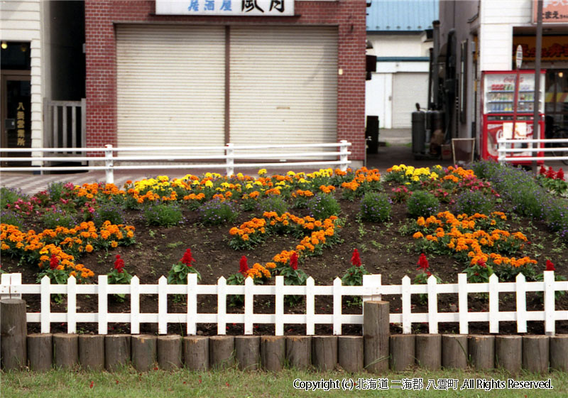 年不明　花関係