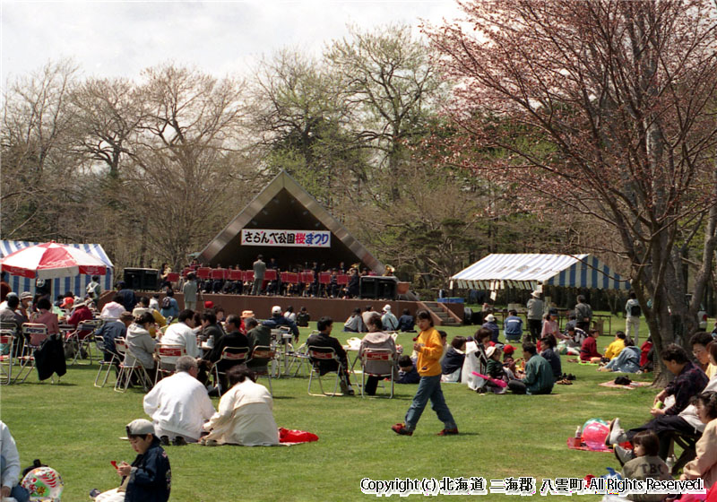 さらんべ公園桜まつり