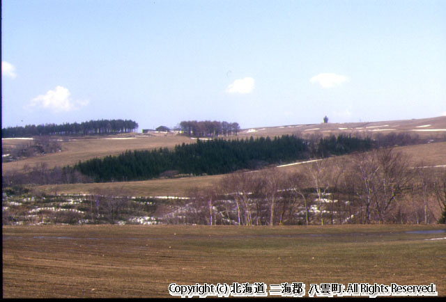 スキー場からの風景