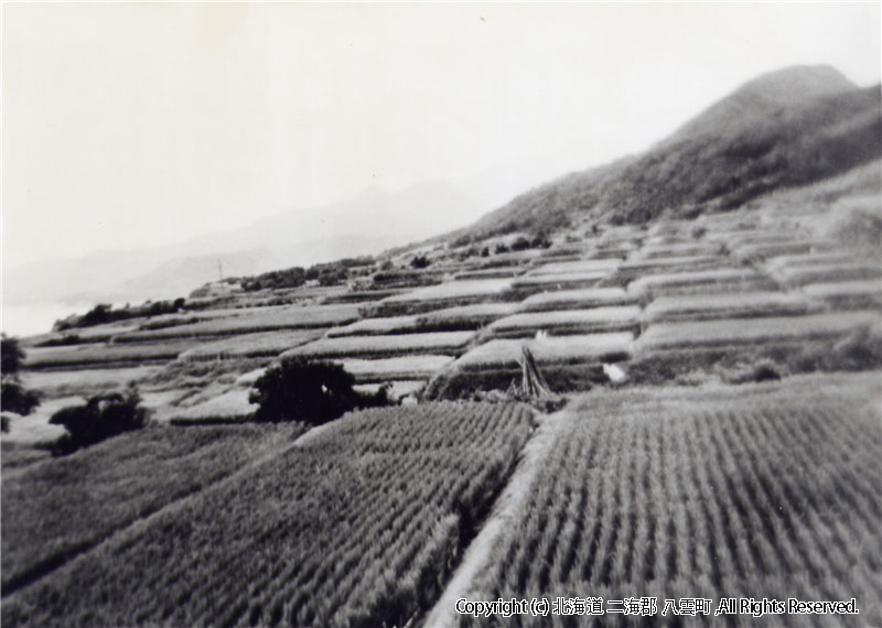 黒岩地区高台水田風景